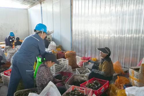 汉阴县涧池镇：“网红达人”张波用电商为花果村落蹚出致富新路