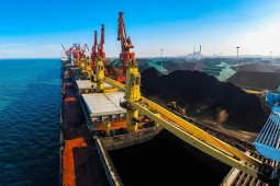 港口止漲!產地外購迎月內首降!貿易商對后市出現分歧