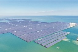 山东：向绿向新构建新型能源体系