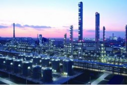 守好粮袋子，点亮绿动能：他们另辟蹊径酿出“清洁燃料”