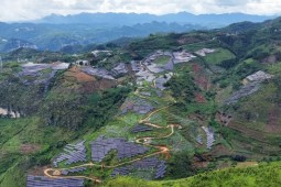 总投资7.4亿元!晴隆碧痕光伏电站并网发电