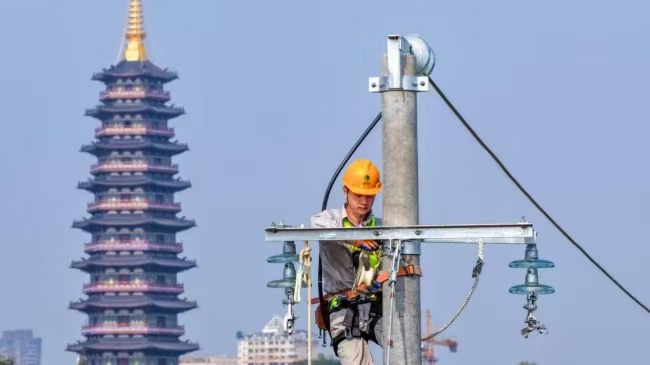 国网金华供电公司：筑牢配网“压舱石” 赋能栖凤城市更新
